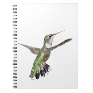 Berylline Hummingbird Painting Notitieboek