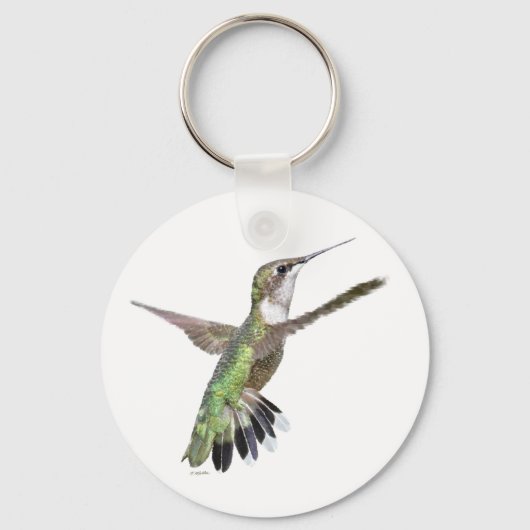 Berylline Hummingbird Painting Sleutelhanger (Voorkant)