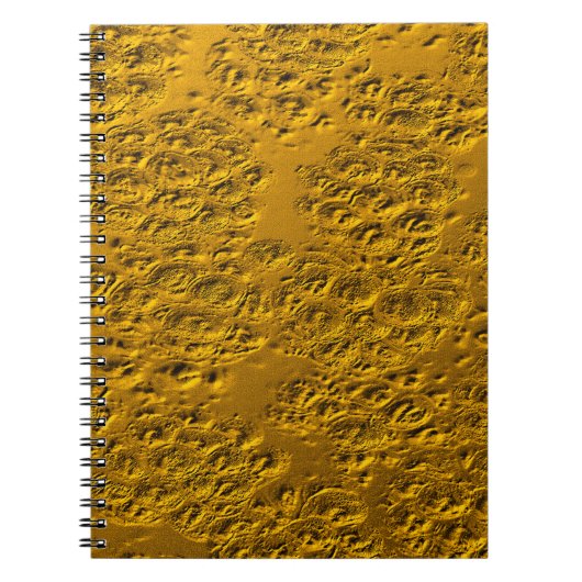 Beschadigd goud notitieboek (Voorkant)