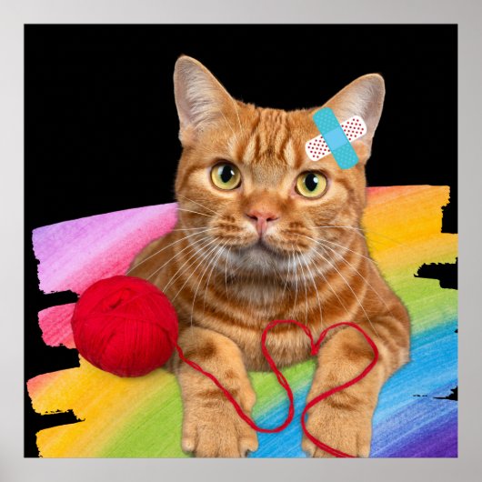 Beschadigde kat op regenboogachtergrond poster (Voorkant)