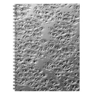 Beschadigde zilvermetalen notitieboek