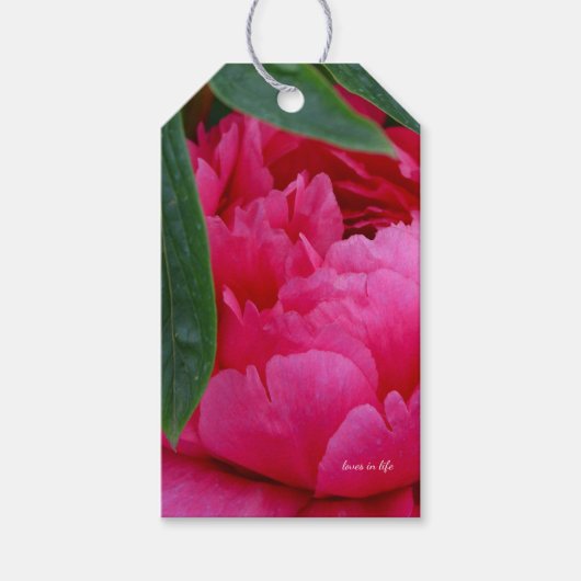 Bescheiden Roze Pioen Cadeaulabel (Voorkant)