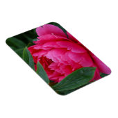 Bescheiden Roze Pioen Magneet (Rechterzijde)