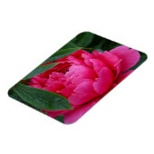 Bescheiden Roze Pioen Magneet (Linkerzijde)