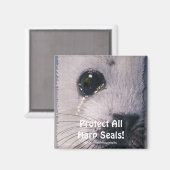 Bescherm alle zadelrobben! Wildlife Magnet (Voorkant / Achterkant)