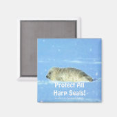 Bescherm alle zadelrobben! Wildlife Magnet (Voorkant / Achterkant)