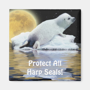 Bescherm alle zadelrobben! Wildlife Magnet