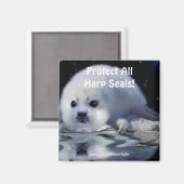 Bescherm alle zadelrobben! Wildlife Magnet (Voorkant / Achterkant)
