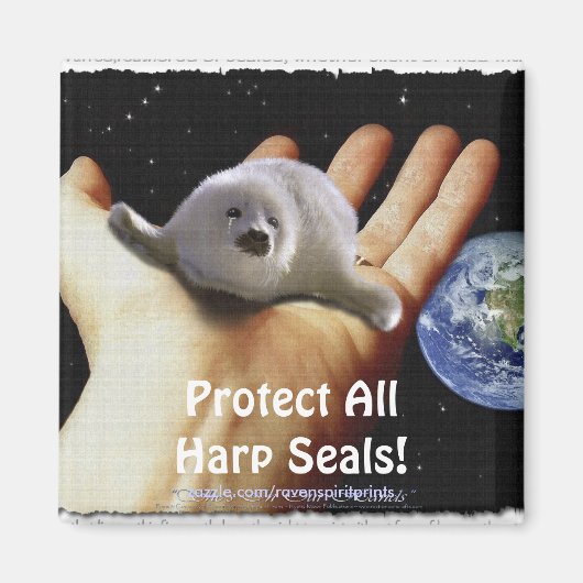 Bescherm alle zadelrobben! Wildlife Magnet (Voorkant)