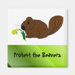 Bescherm de Beavers Magneet