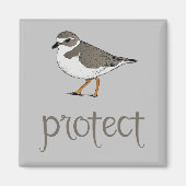 Bescherm de Piping Plover Bird Magneet (Voorkant)