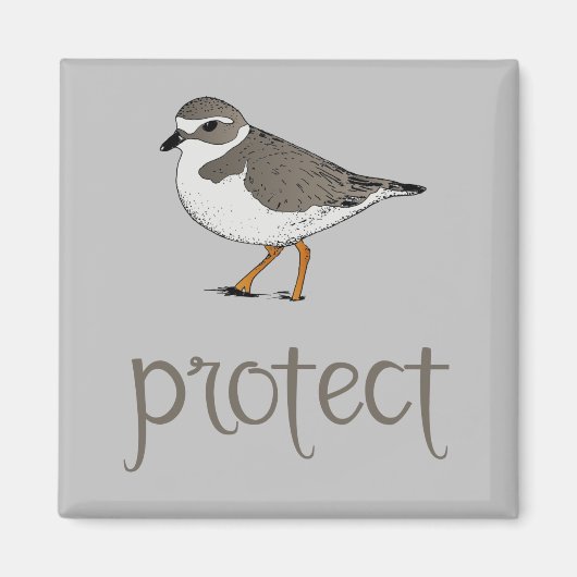 Bescherm de Piping Plover-vogel Magneet (Voorkant)