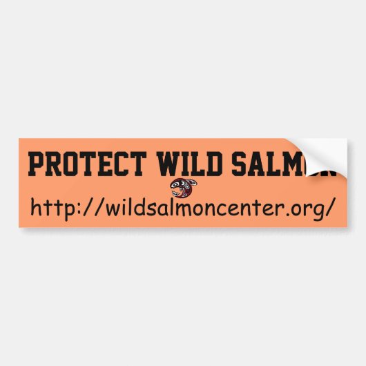 Bescherm de sticker voor wilde zalmbumper (Voorkant)