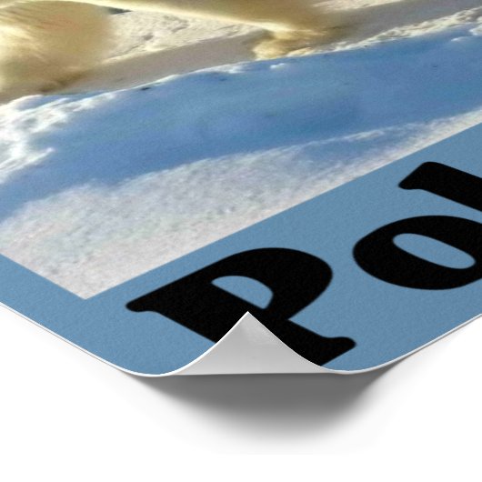 Bescherm het Polaire Beer Poster (Hoek)