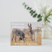 Bescherm onze Wilde Burros Briefkaart (Staand voorkant)