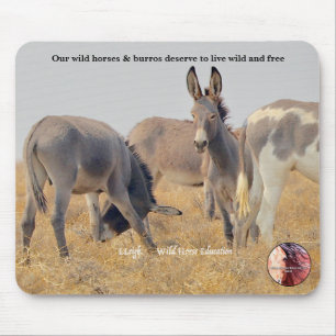 Bescherm onze Wilde Burros Muismat