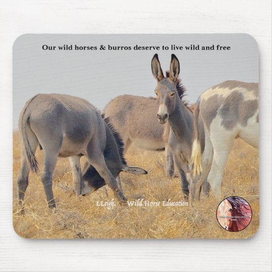 Bescherm onze Wilde Burros Muismat (Voorkant)