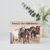 Bescherm onze wilde paarden briefkaart (Staand voorkant)