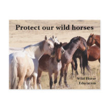 Bescherm onze wilde paarden