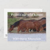 Bescherm onze wilde paarden briefkaart (Voorkant / Achterkant)