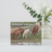 Bescherm onze wilde paarden briefkaart (Staand voorkant)