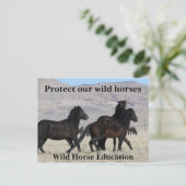 Bescherm onze wilde paarden briefkaart (Staand voorkant)