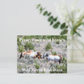 Bescherm onze wilde paarden briefkaart (Staand voorkant)