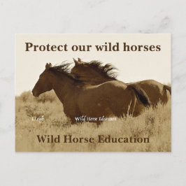 Bescherm onze wilde paarden briefkaart