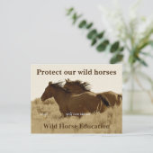 Bescherm onze wilde paarden briefkaart (Staand voorkant)