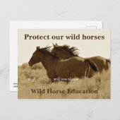 Bescherm onze wilde paarden briefkaart (Voorkant / Achterkant)