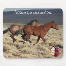 Bescherm onze wilde paarden