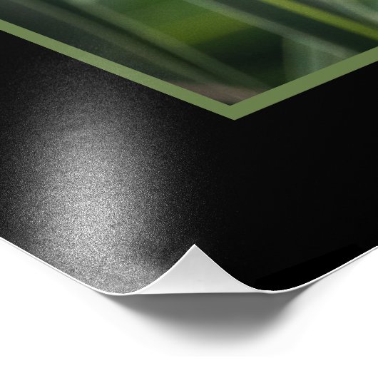 Bescherm vleermuisfoto vergroting foto afdruk (Hoek)