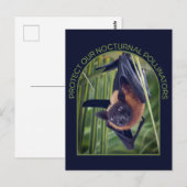 Bescherm vleermuizen briefkaart (Voorkant / Achterkant)