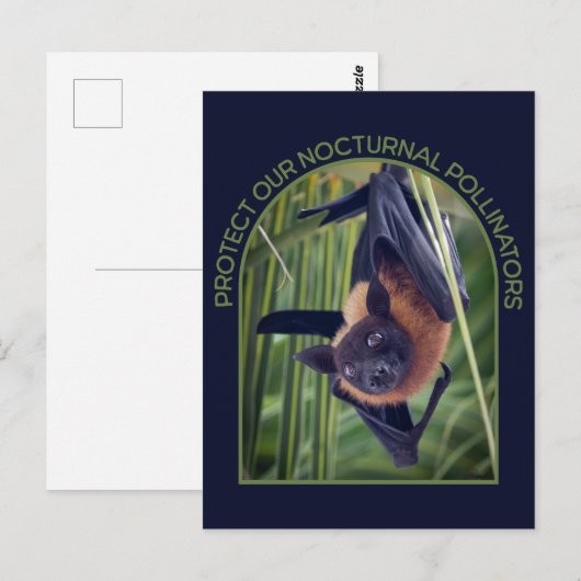 Bescherm vleermuizen briefkaart (Voorkant / Achterkant)