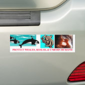 BESCHERM WALVISSEN, KOALA'S EN ONGEBOREN MENSEN! BUMPERSTICKER (Op auto)