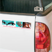 BESCHERM WALVISSEN, KOALA'S EN ONGEBOREN MENSEN! BUMPERSTICKER (Op Truck)
