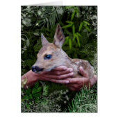 "Beschermd" (Voorkant)