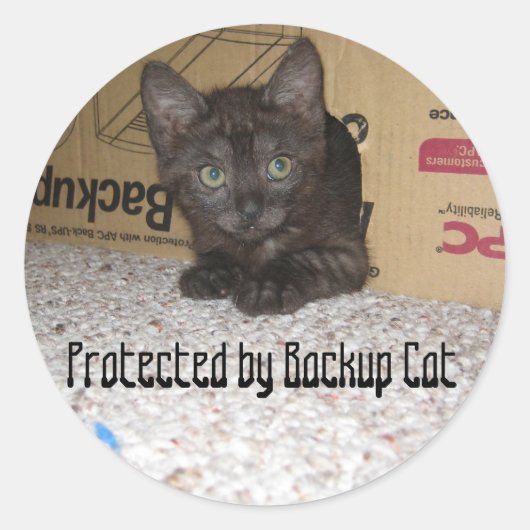 Beschermd door Backup Cat Ronde Sticker (Voorkant)