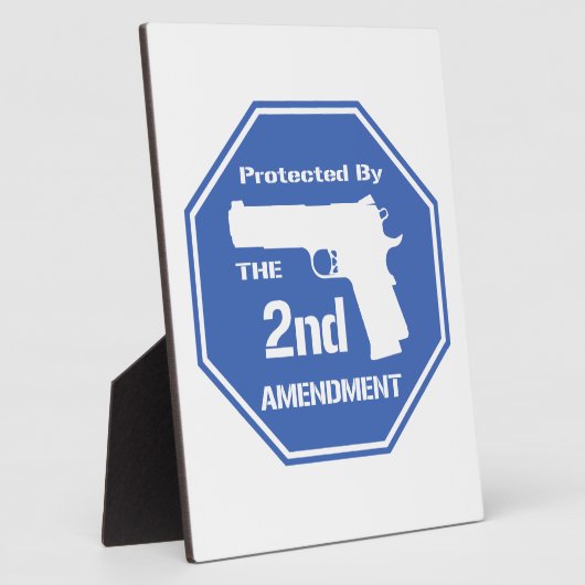 Beschermd door het tweede amendement (Blauw) Fotoplaat (Zijkant)