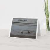 Beschermd Kaart (Voorkant)