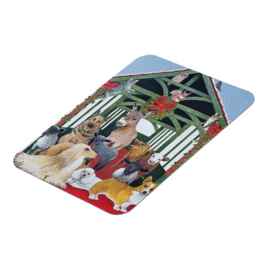 beschermd magneet (Linkerzijde)