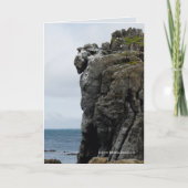 Beschermer in Steen Kaart (Voorkant)