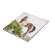 Beschermer van de duinen tegeltje (Zijkant)