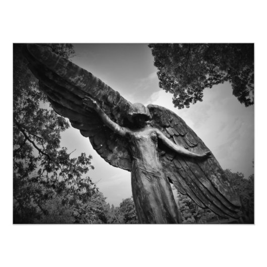 "Bescherming tegen bovenstaande" Foto Afdruk (Voorkant)