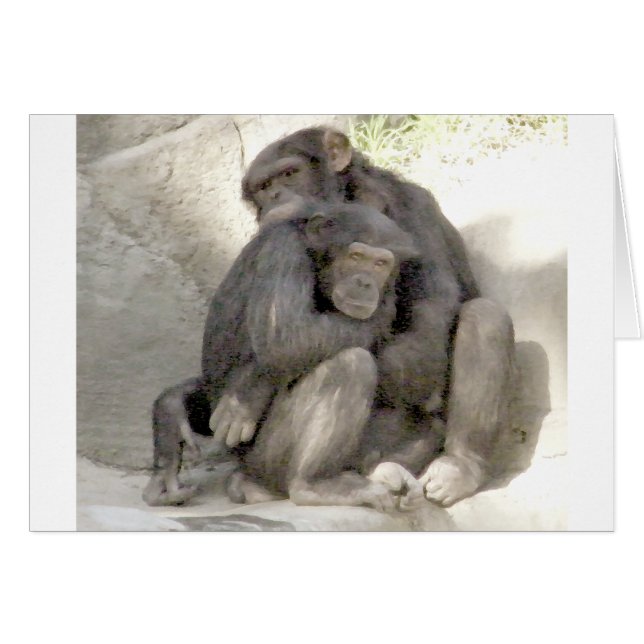 Bescherming van de liefde_ (Voorkant Horizontaal)