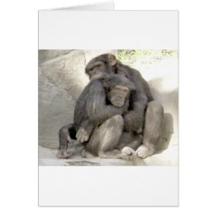 Bescherming van de liefde_