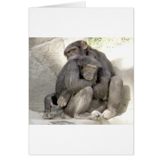 Bescherming van de liefde_ (Voorkant)