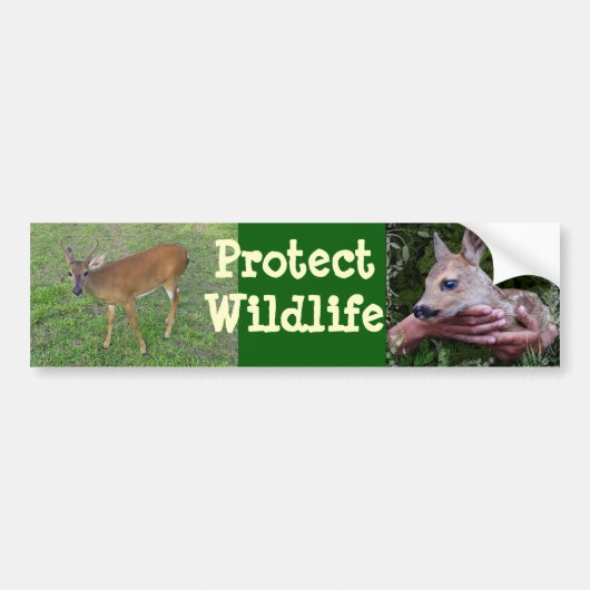 Bescherming van het wild bumpersticker (Voorkant)