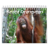 Bescherming van wilde dieren in Krista Orangutan Kalender (Hoes)