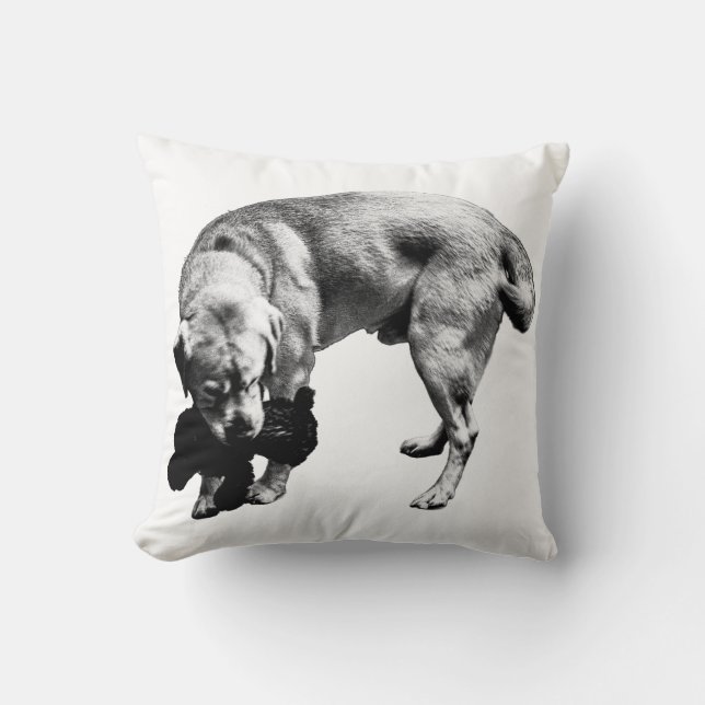 beschermingskromme kussen (Voorkant)